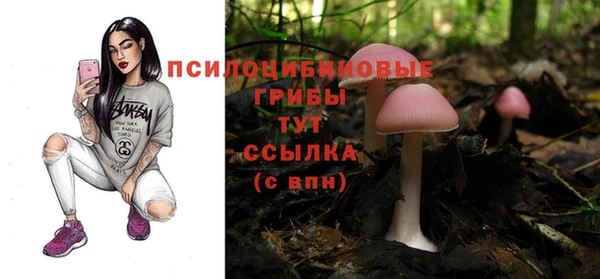 героин Вяземский