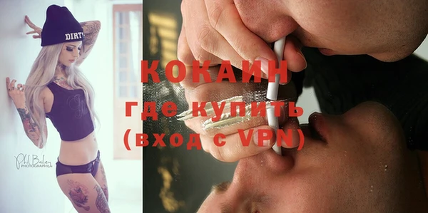ГАЛЛЮЦИНОГЕННЫЕ ГРИБЫ Вязники