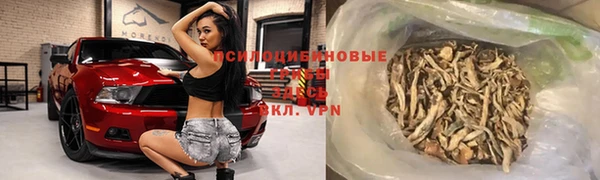 ГАЛЛЮЦИНОГЕННЫЕ ГРИБЫ Вязники
