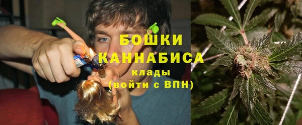 кокс Гусев