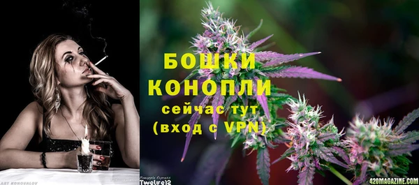 ГАЛЛЮЦИНОГЕННЫЕ ГРИБЫ Вязники