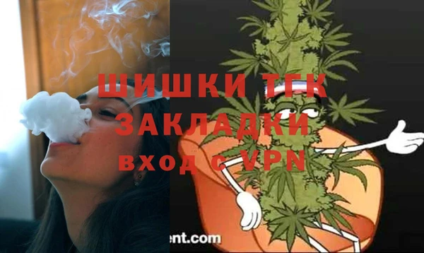 ГАЛЛЮЦИНОГЕННЫЕ ГРИБЫ Вязники