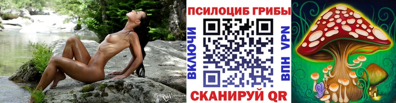 это состав Ершов Галлюциногенные грибы ЛСД