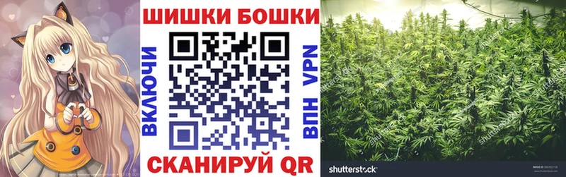 где продают наркотики  мега ONION  Конопля сатива  Ершов 